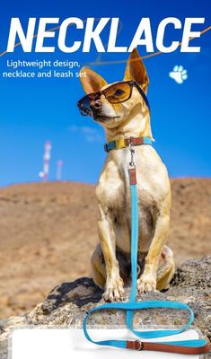 comprar Coleiras de treinamento para cães anti-fuga seguras para cães de pequeno e médio porte online manufacture