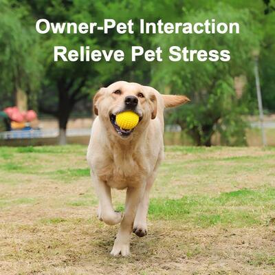 kaufen Winter Cotton Padded Waterproof Pet Jacket Outdoor Thickened Pet Clothing With Traction online manufacture